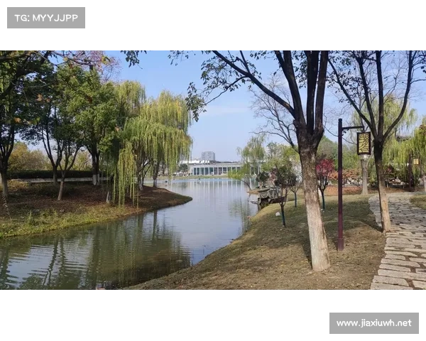 纽约城的文化魅力与现代都市发展的融合探索 纽约城的文化魅力与现代都市发展的融合探索
